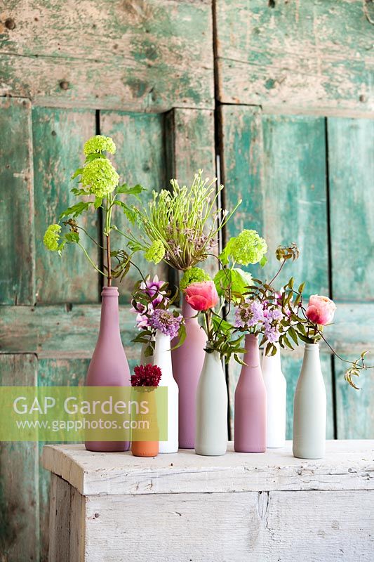 Vases with viburnum, red and pink scabiosa, allium, roses 'vuvuzela', jasmine