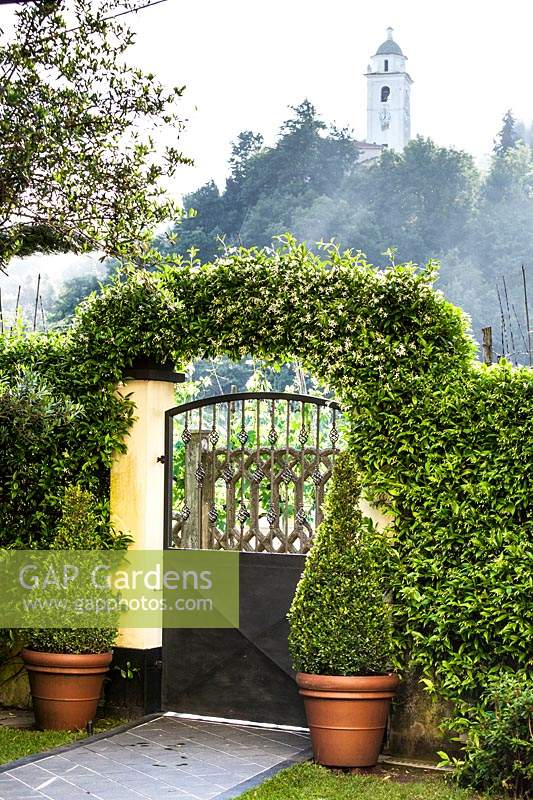 An ornate garden gate surrounded by evergreen pots, hedges and climbing arch.

