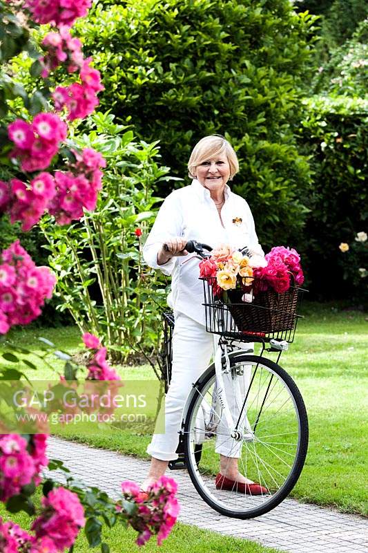 Woman standing with bicycle holding cut Rosa - Rose - stems in a garden
