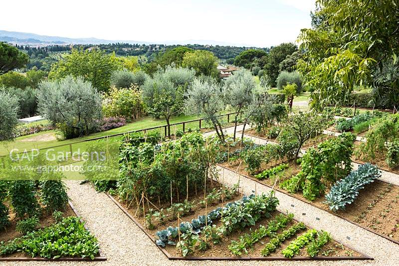 A kitchen garden with long beds, overlooking countryside with trees 