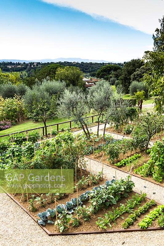 A kitchen garden with long beds, overlooking countryside with trees