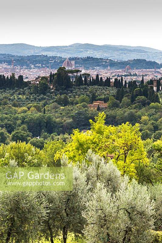 View from kitchen garden of Tuscan landscape of trees with view of Florence and hills beyond
