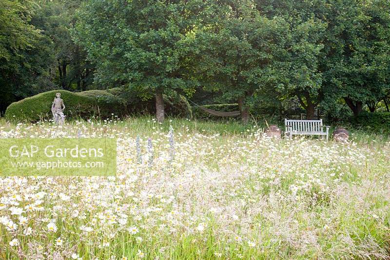 View across wildflower meadow of Leucanthemum vulgare - Oxeye Daisy and Echium vulgare to stone statue, bench, hammock and clipped hedge 