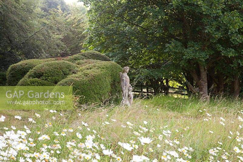 Decorative stone statue and clipped hedge near wildflower meadow