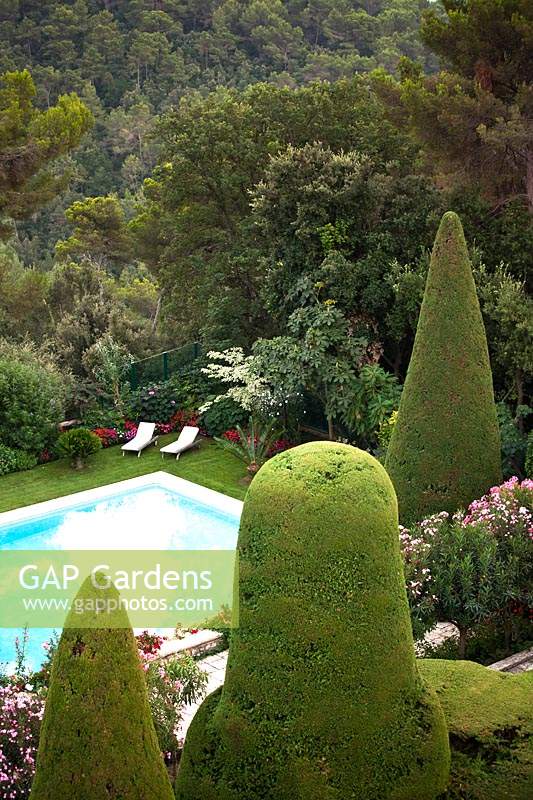 View of large topiary forms with swimming pool, trees and wooded hills beyond
