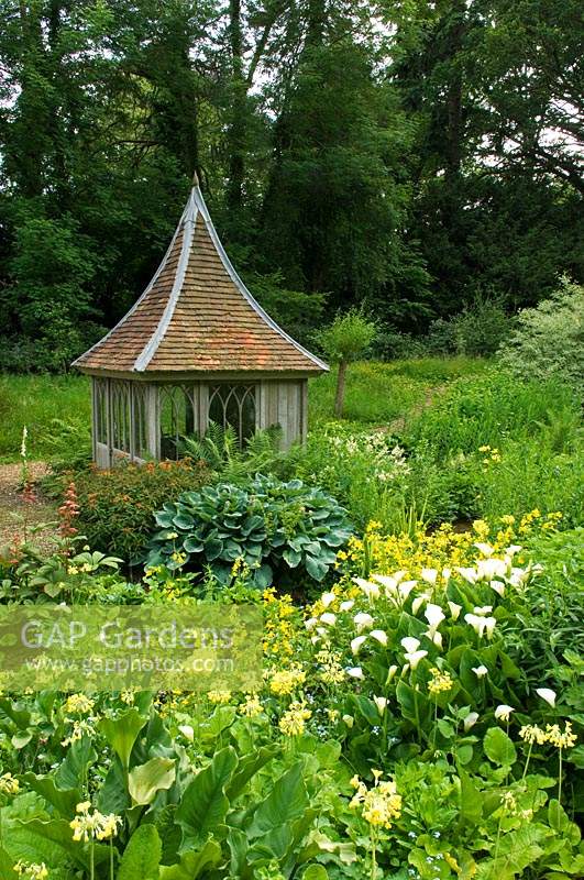 Summerhouse next to bog garden with Zantedeschia aethiopica, Primula and Hosta 