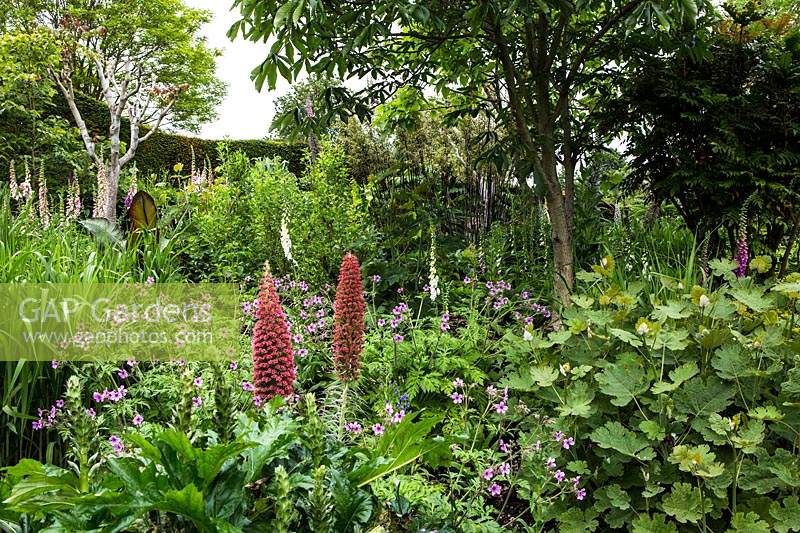 Mixed spring border. Bourne garden. Glyndebourne. Uk
