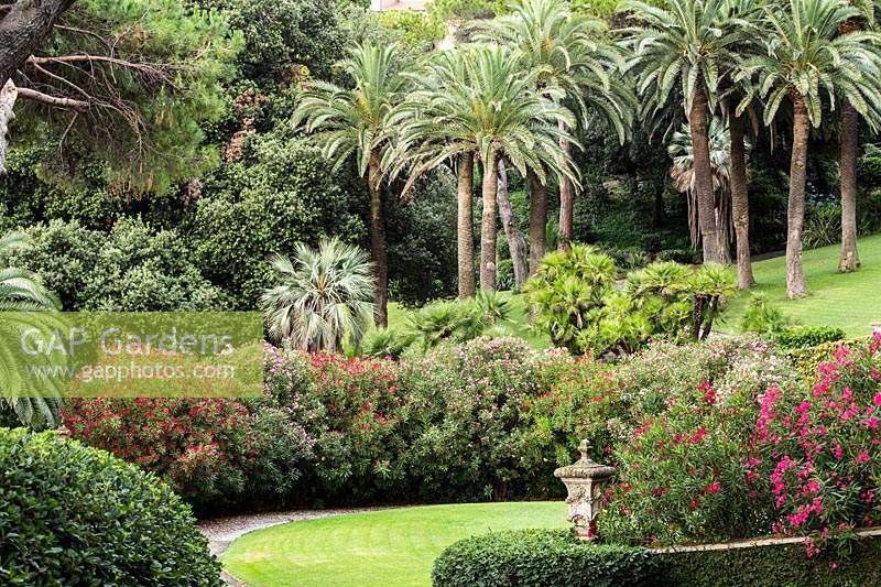 Formal gardens of Villa Agnelli Levanto, Italy. 
