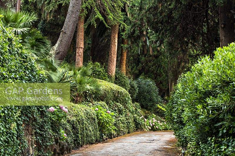 Formal gardens of Villa Agnelli Levanto, Italy.