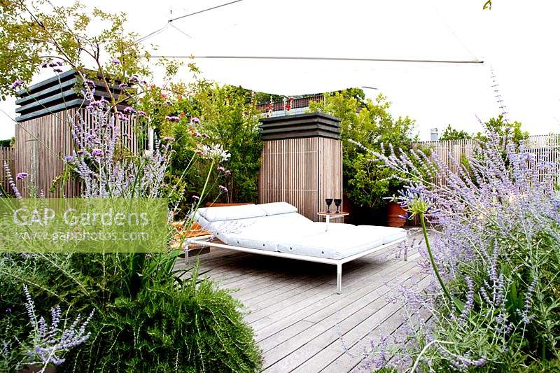 Large sun bed stands on terrace surrounded by Agapanthus, Perovskia atriplicifolia and Rosmarinum prostratrum