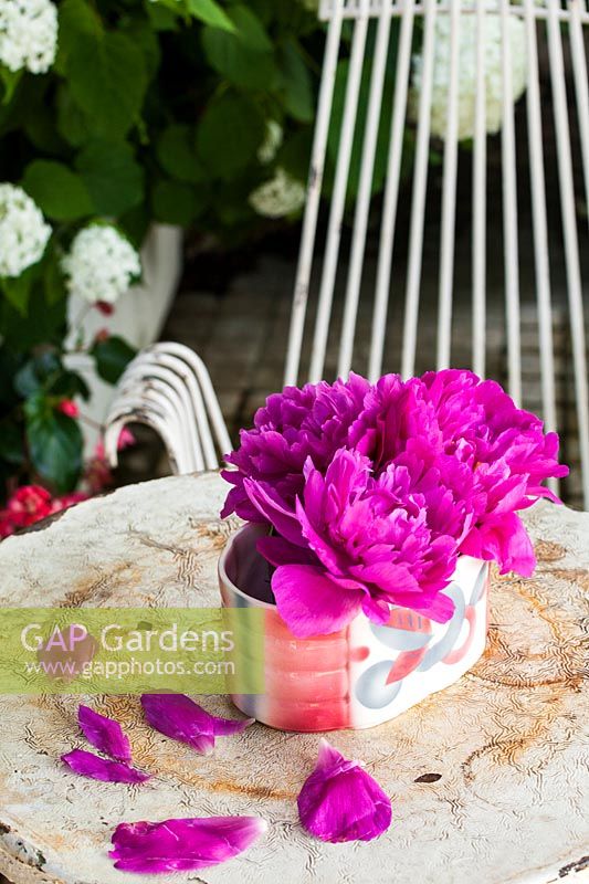 Peonies displayed in ceramic dish on table in garden.  