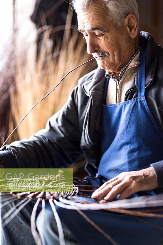 Experienced basket maker building a hand-woven basket on his knee, holding bare stem in mouth