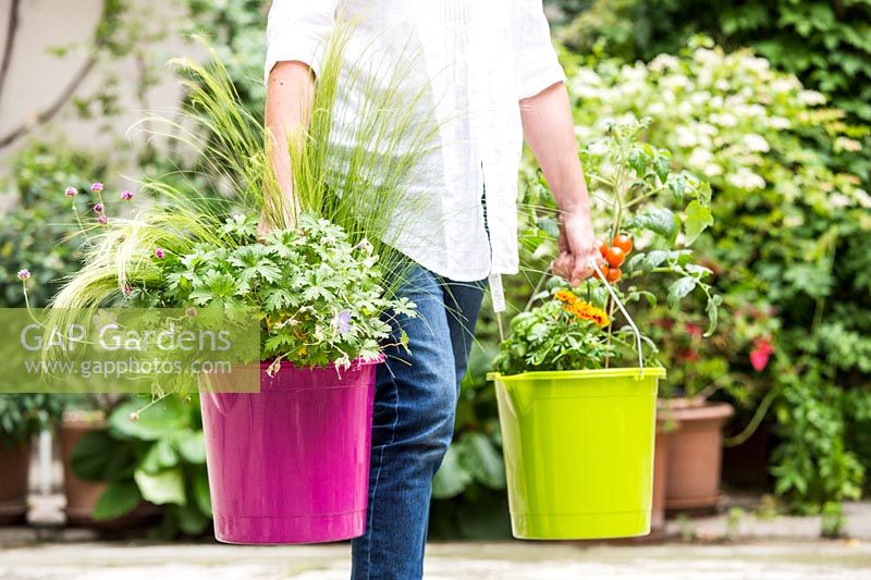 Woman carrying bucket containers planted with annuals and perennials through the garden.  