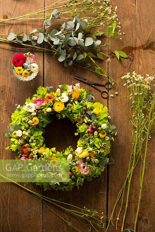 A crown with Hydrangea, mixed Ranuculus - Buttercup, Freesia and Tulipa - Tulip, Matricaria, Peach blossom and Eucalyptus cinerea leaves, on a table with plant material