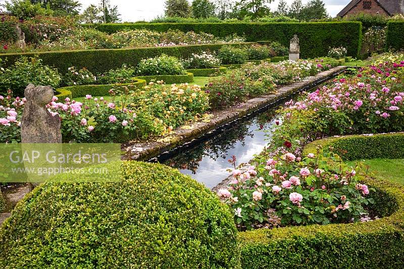 View along rill with roses and clipped hedges in The Renaissance Garden 