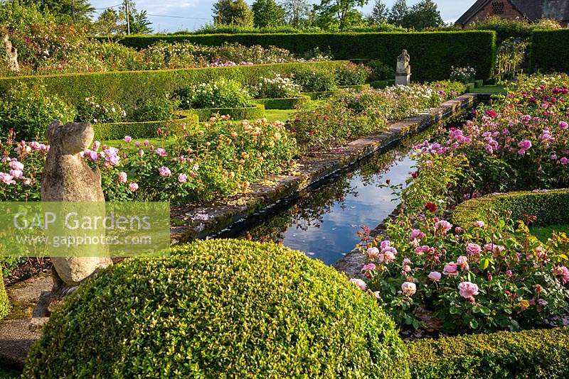 Rill with rose beds on either side in The Renaissance Garden 