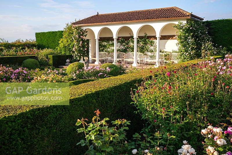 View over rose beds and hedge to the loggia in The Renaissance Garden 