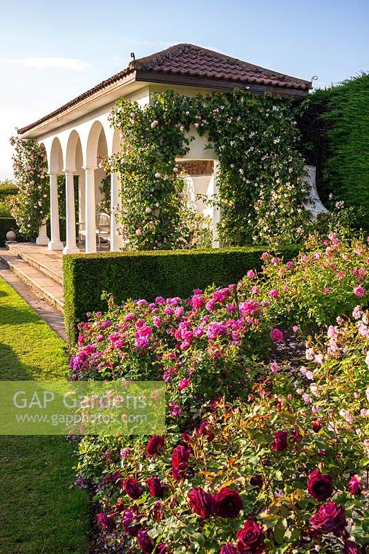 View over rose bed and hedge to climbing rose at side of loggia in The Renaissance Garden 