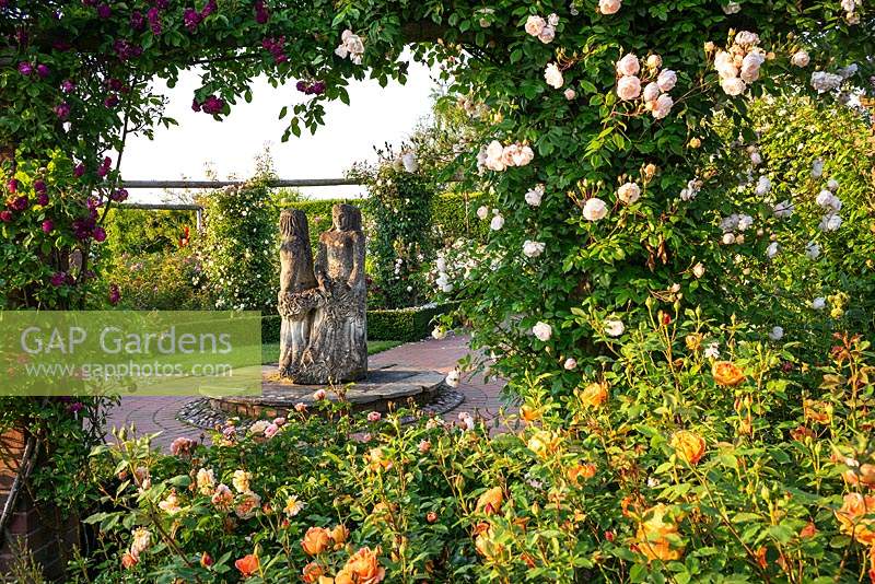 View through roses to central sculpture 