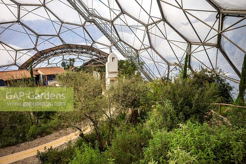 The Mediterranean Biome, overview showing plants and structure of the roof