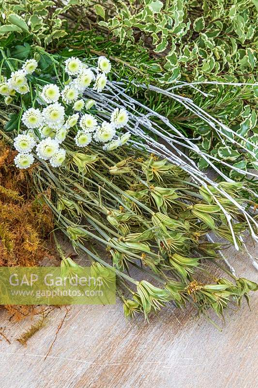 Cut flowers and foliage including moss, Aquilegia seedpods, Chrysanthemum, rosemary and Variegated pittosporum. 