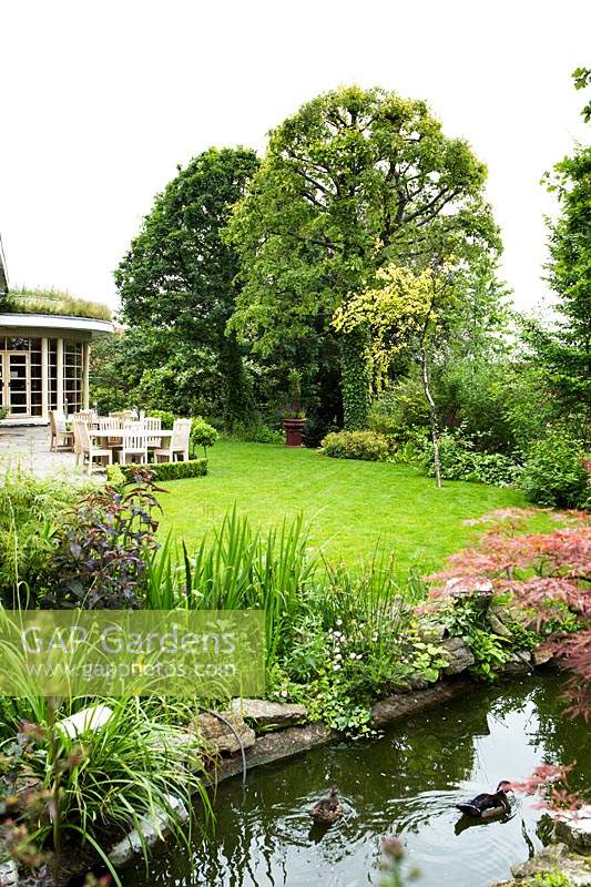 Roof garden with ducks on water and view of beds, lawn up to seating area and mature trees