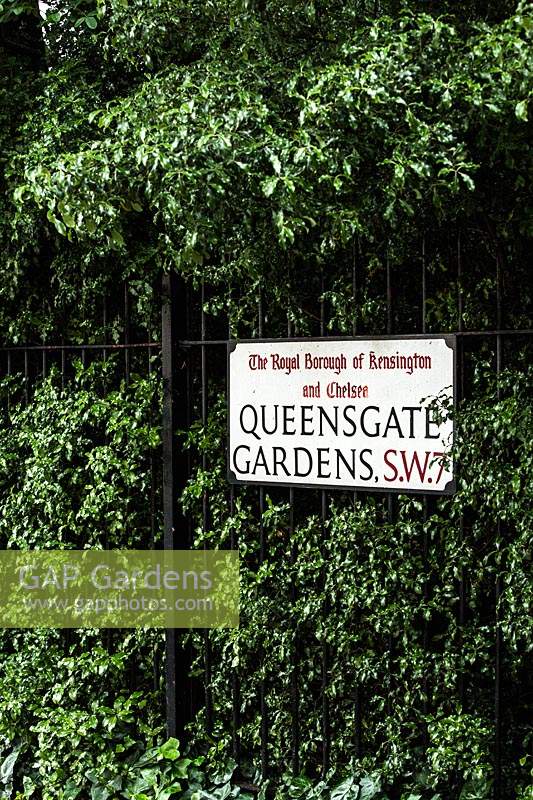 Metal railings and dense shrubbery enclosing square garden, view from street with sign 