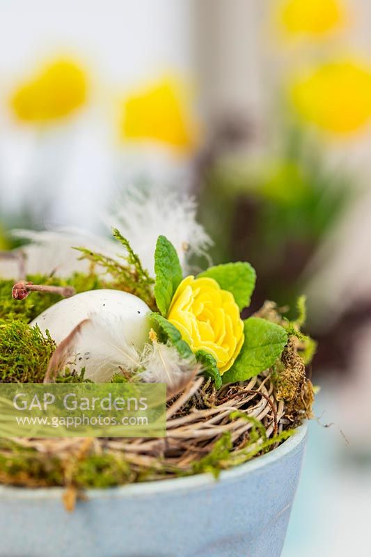 Nest with egg and Primula