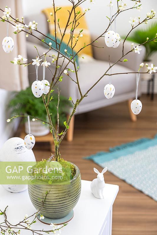 Decorative Easter eggs hanging from blackthorn branches