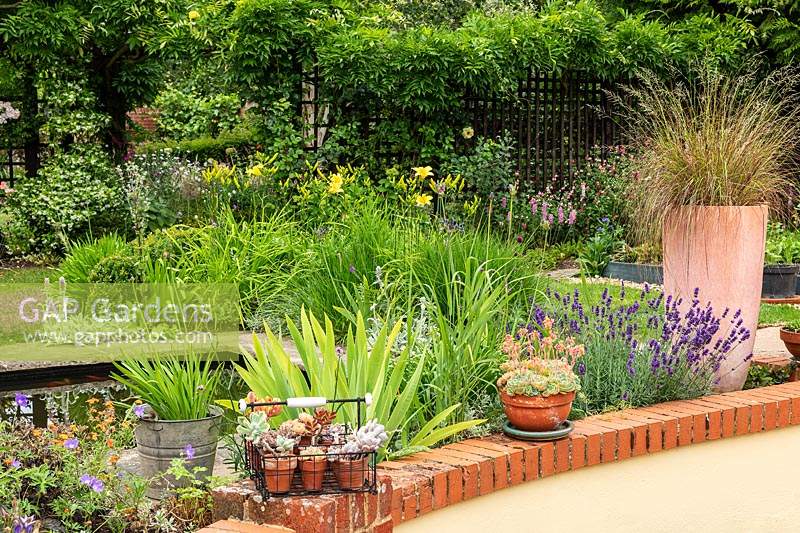A small informal suburban country garden with a pond, shrubs, perennials and climbers on a boundary fence. A low patio wall with a group of containers with grasses and Sempervivum.