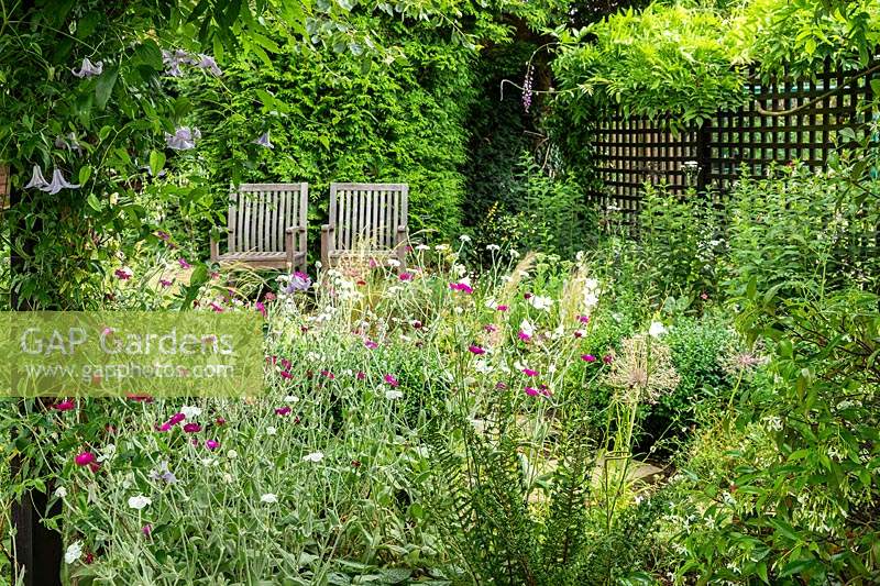 A small seating area hidden in a corner of a garden by a trellis screen, surrounded by informal mixed planting