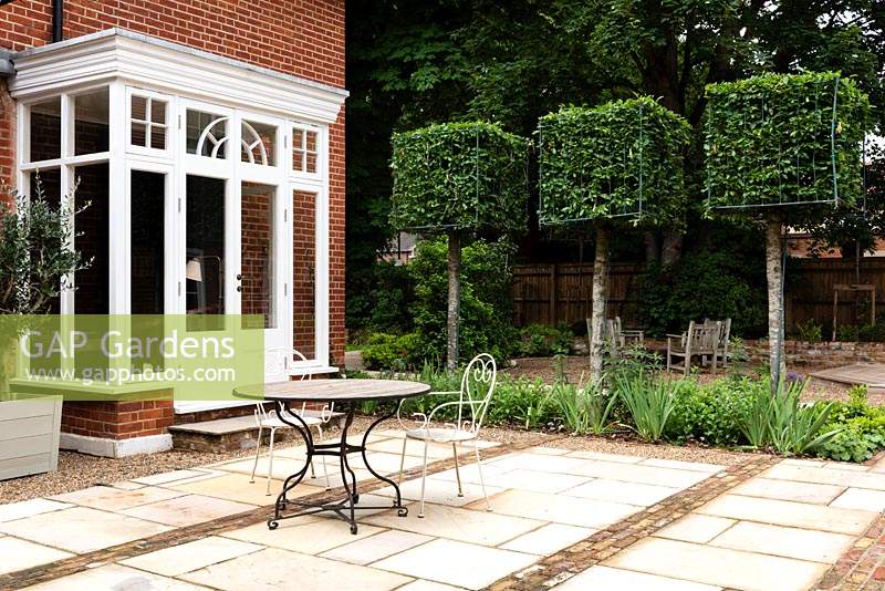 View across paved patio with table and chairs to Carpinus - Hornbeam - square trained trees in border with mixed planting 