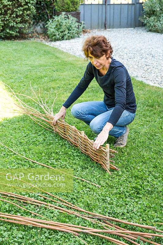 Person weaving willow branches between chestnut stakes to make woven willow fence
