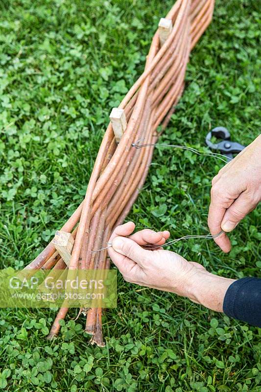 Using pliers to wire willows to stakes while making woven willow fence