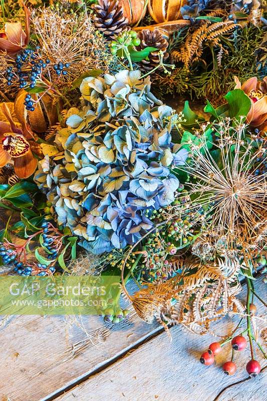 close up detail of festive wreath on workbench with dried hydrangea flowerhead and allium seedhead