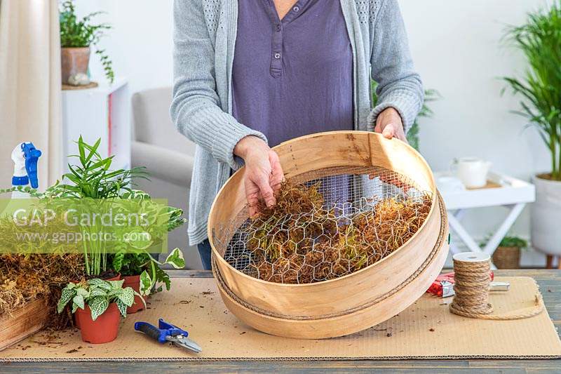 Woman filling half of a sieve with moss.