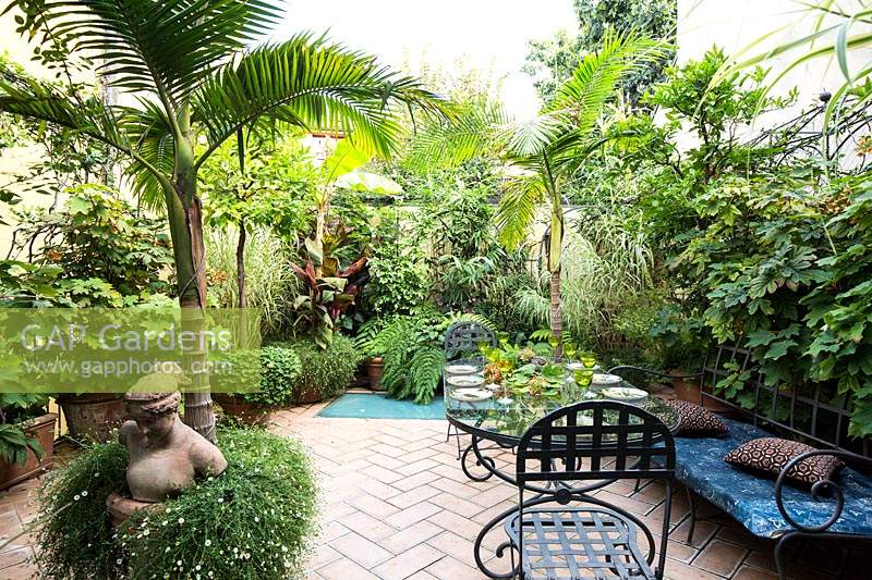 Tropical-style garden, with lush planting including palms and ferns. 