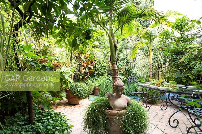 Tropical-style garden, with lush planting including palms and ferns.
