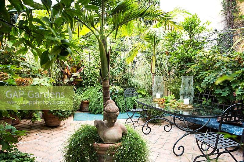 A mix of palms, Archontophoenix alexandra behind the bust sculpture, ferns and other plants in tropical-style urban terrace with tiled dining area 