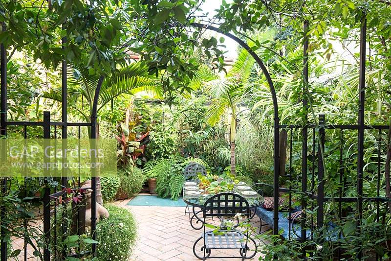 View through metal archway to tropical-style urban garden, tiled dining terrace with a mix of palms, ferns and other foliage plants 
