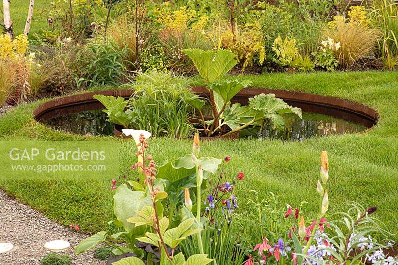 Mimosa Design: Grace and Dignity Garden, pond in lawn with Gunnera 