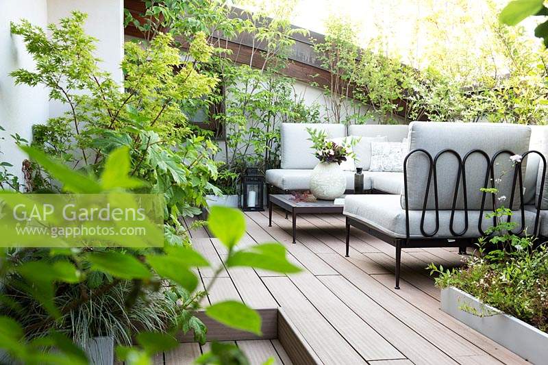 An outdoor lounge on the terrace with decking, seating and screening from a mix of shrubs

