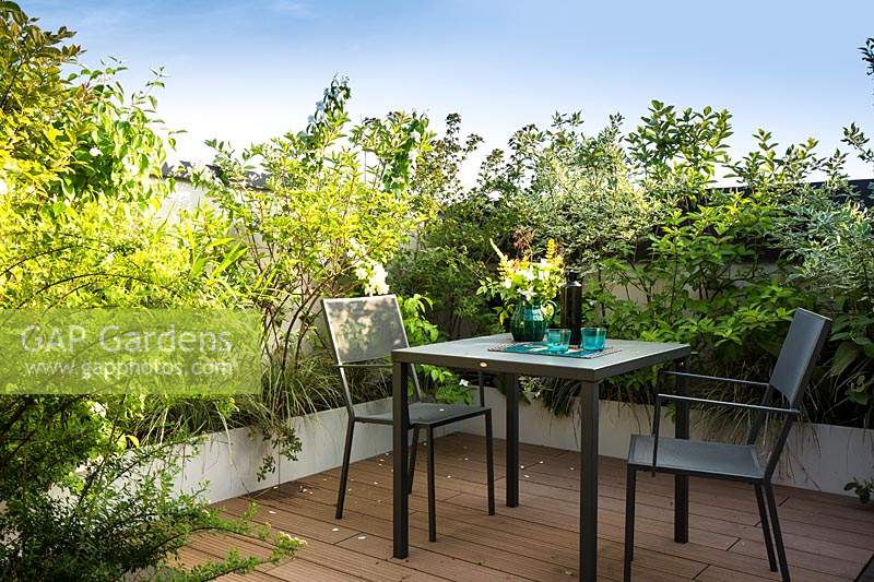 Table and chairs on a small terrace with a mix of screening shrubs