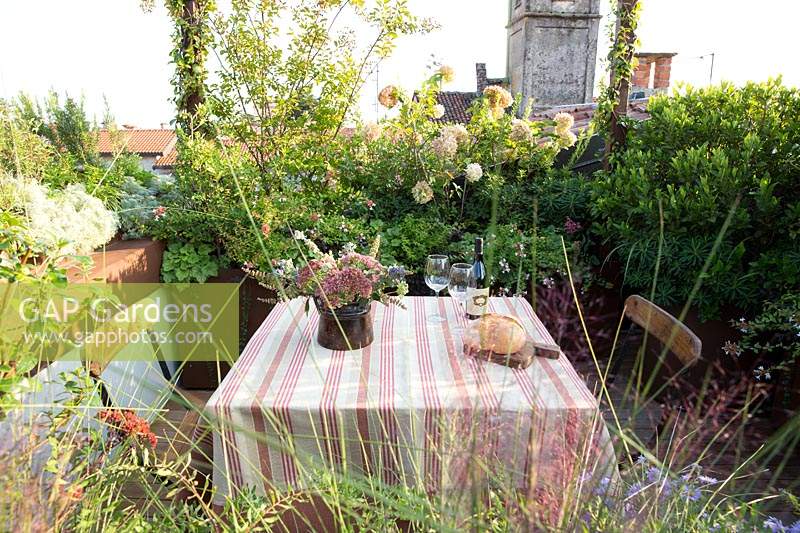 Garden table and chairs surrounded by dense planting on Italian city terrace.