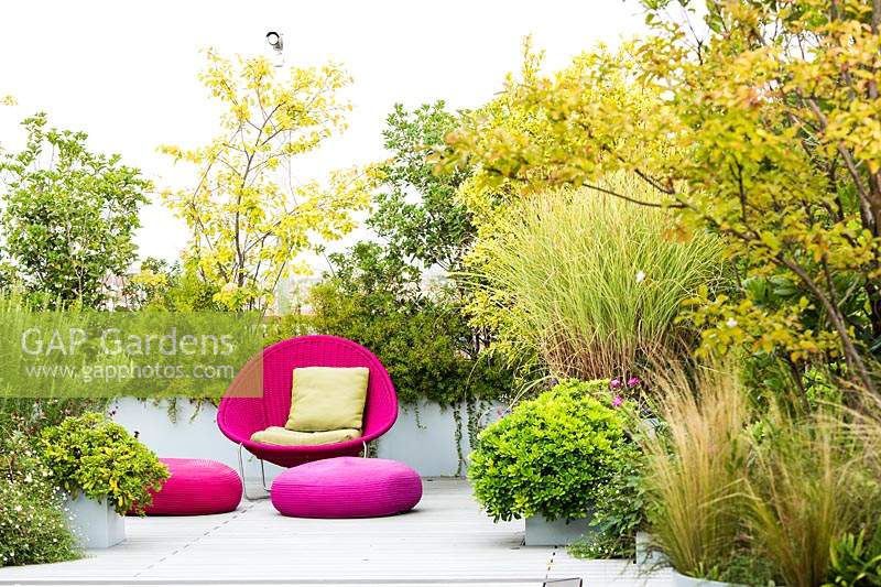 Relaxing area on a terrace with bright pink wicker chair and cushions and mixed planting behind screening the terrace