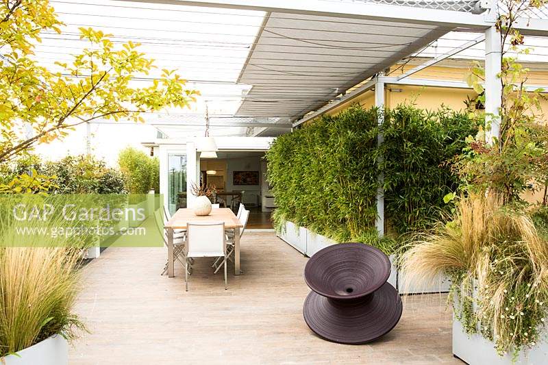 Dining area of covered terrace with container grown shrubs