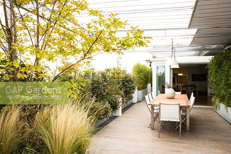Covered dining area of terrace with container grown shrubs