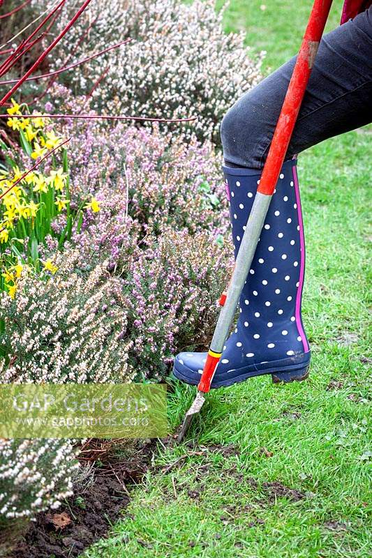 Using a half moon cutter to redefine lawn edges in early spring