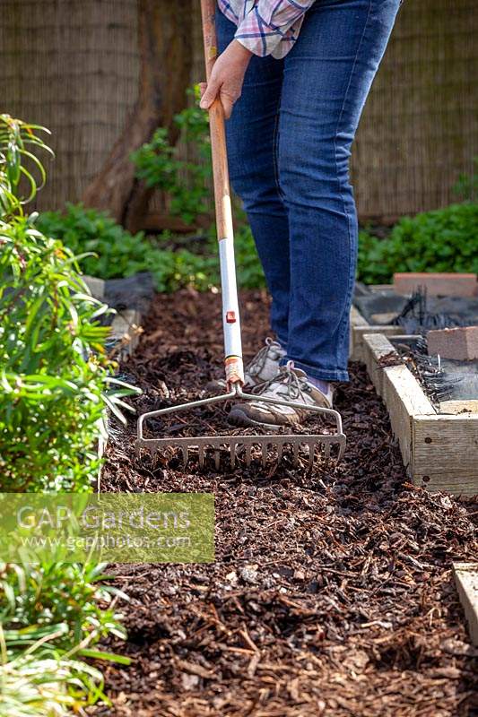 Maintaining paths in a vegetable garden by topping up with fresh bark chippings to suppress weeds