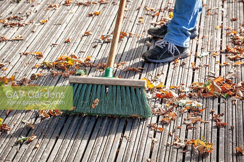 Sweeping fallen leaves off wooden decking with a brush in early autumn to prevent it getting slippy